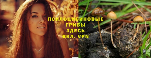 мдпв Абаза