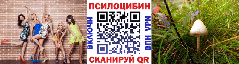 Псилоцибиновые грибы прущие грибы где можно купить Щёлково